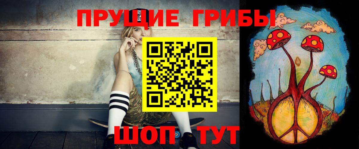 Галлюциногенные грибы прущие грибы Новотроицк